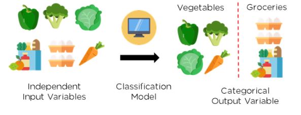 classification application