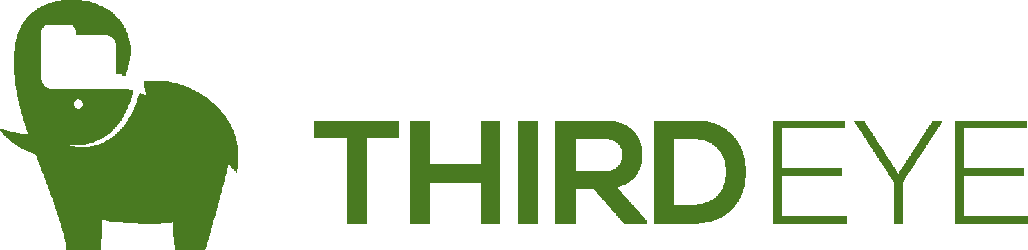 ThirdEye Data Official Logo