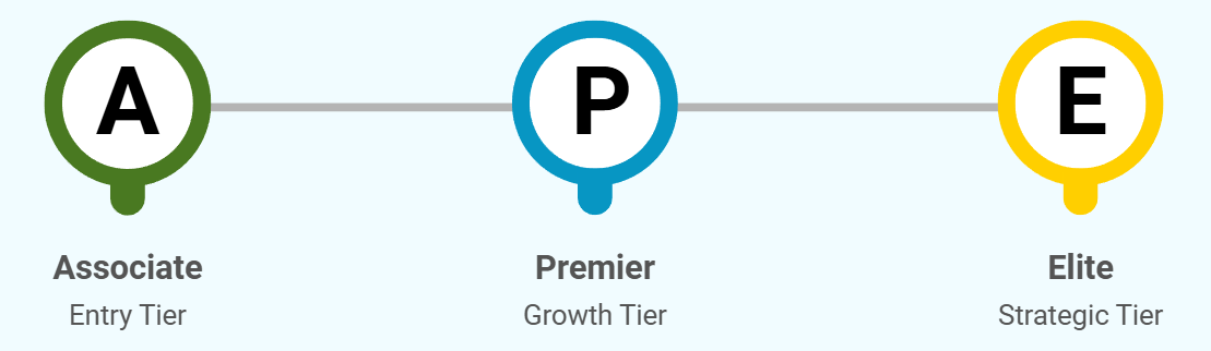 TED AI Partnership Tiers
