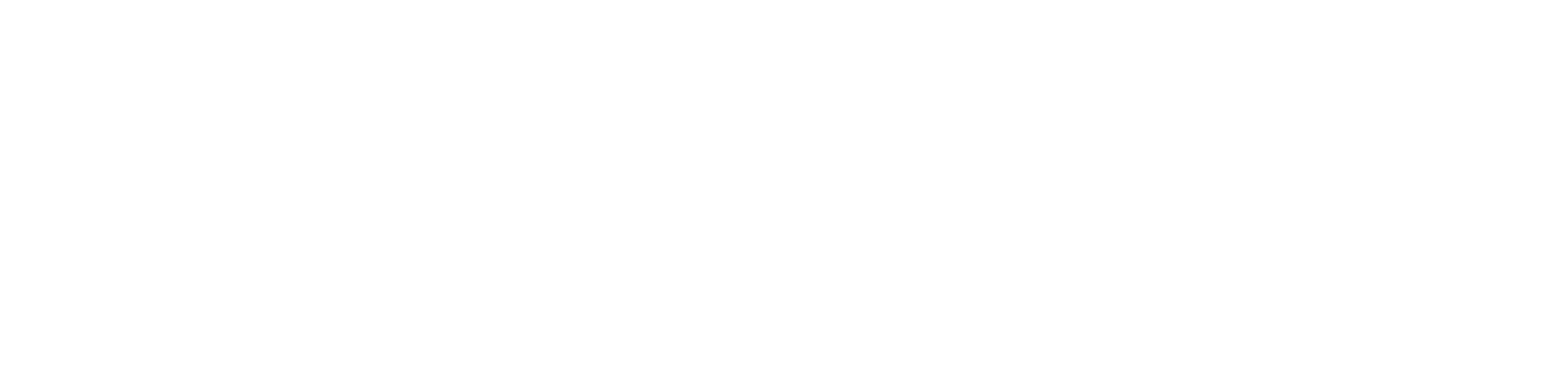 ThirdEye Data - White Logo